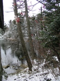 P1010149.JPG