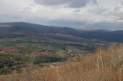 IMG_1659.JPG