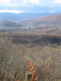 P1010153.JPG