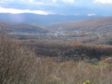 P1010154.JPG