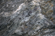 IMG_1665.JPG