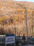 P1010157.JPG