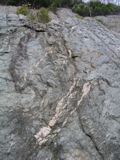 P1010158.JPG