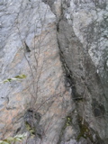 P1010160.JPG