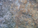 P1010167.JPG