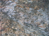 P1010168.JPG