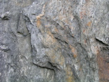 P1010170.JPG