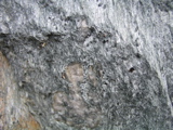 P1010173.JPG