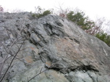 P1010174.JPG