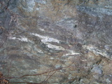 P1010175.JPG