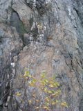 P1010180.JPG
