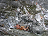 P1010184.JPG