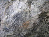 P1010186.JPG