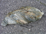 P1010188.JPG