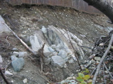 P1010194.JPG