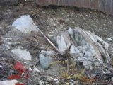 P1010195.JPG
