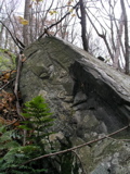 P1010048.JPG