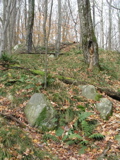 P1010052.JPG