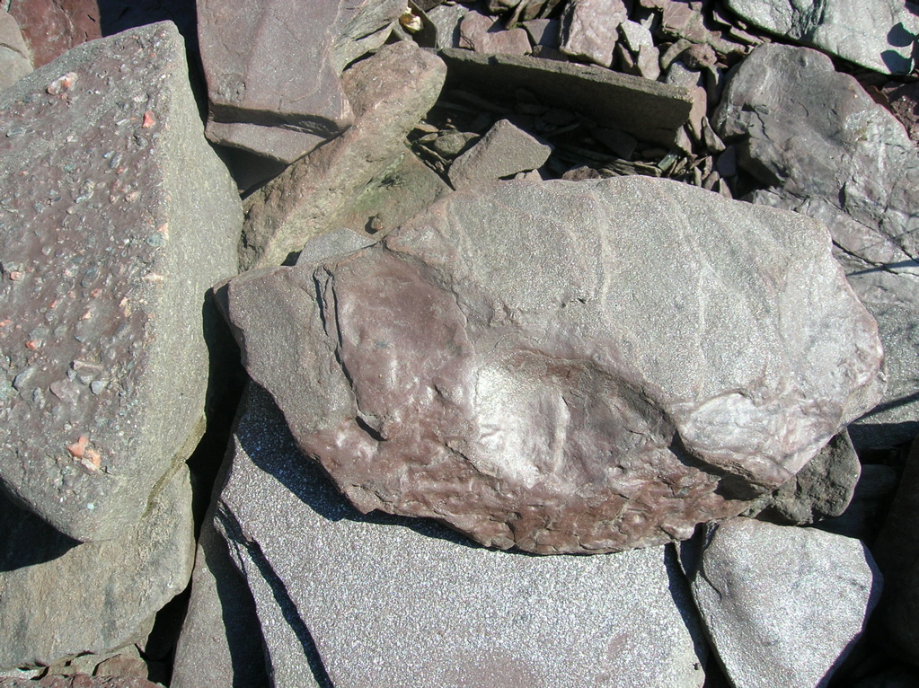DSCN0584