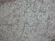 DSCN0521
