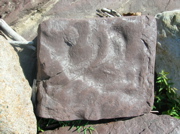 DSCN0554