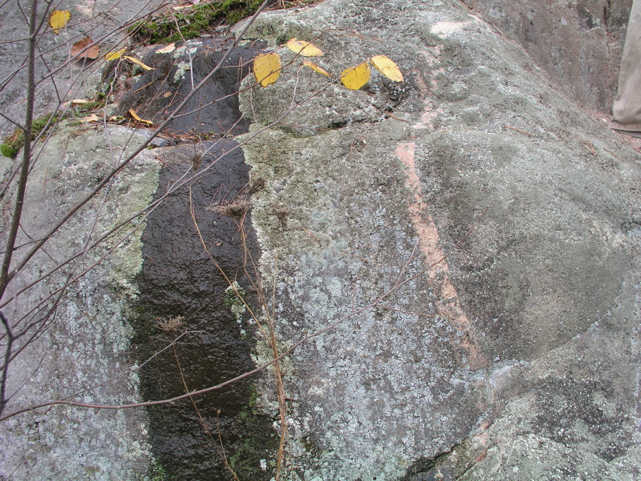 P1010006.JPG
