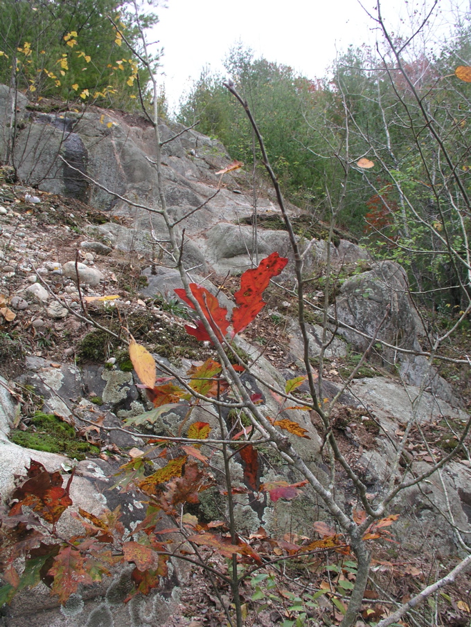 P1010007.JPG