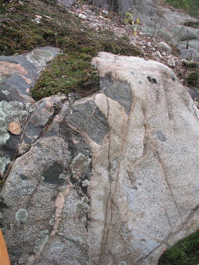 P1010008.JPG