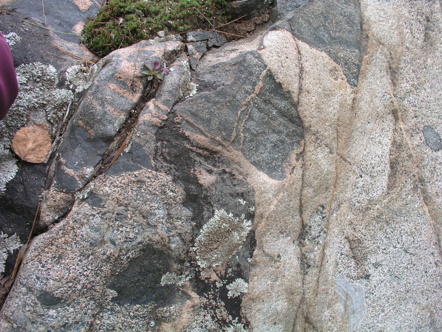 P1010009.JPG