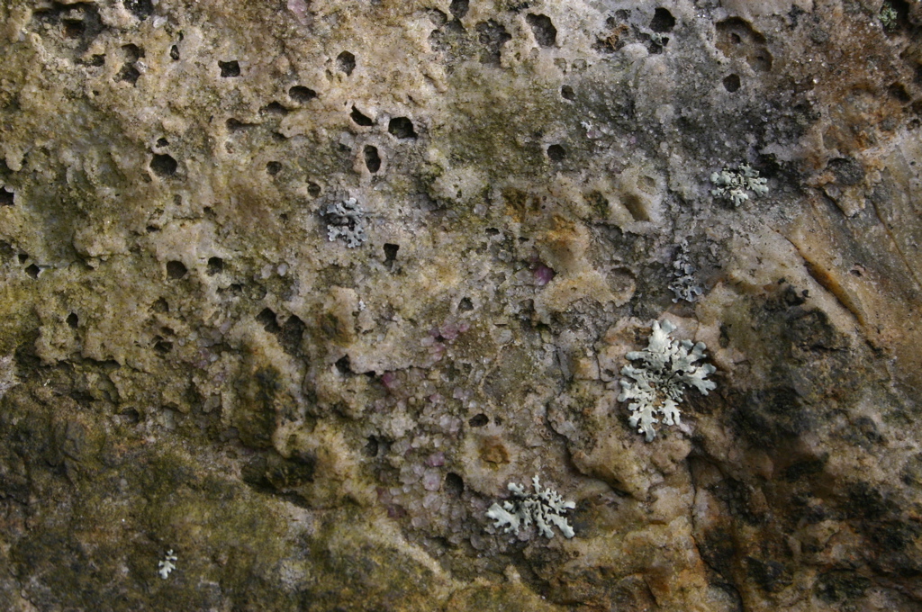 IMG_1583.JPG