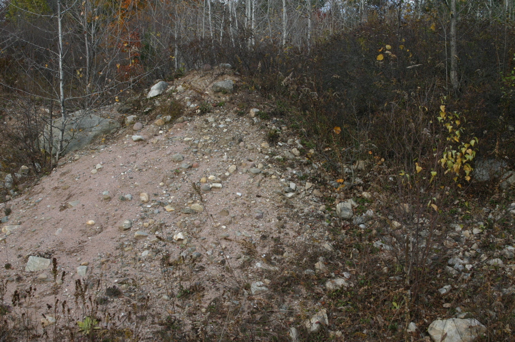 IMG_1594.JPG