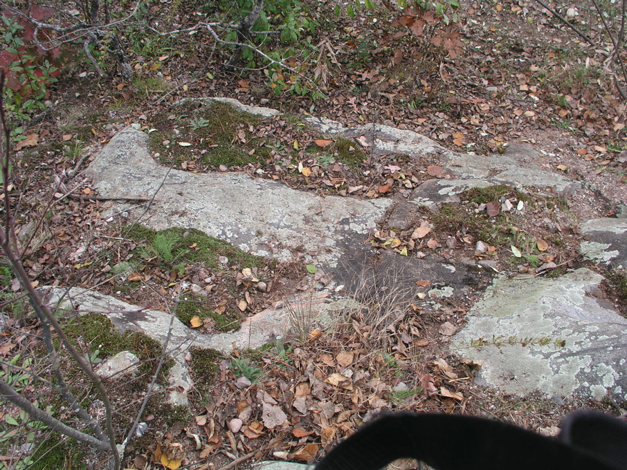 P1010003.JPG