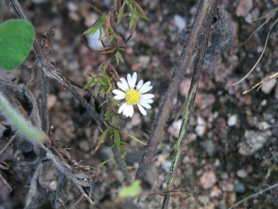P1010013.JPG