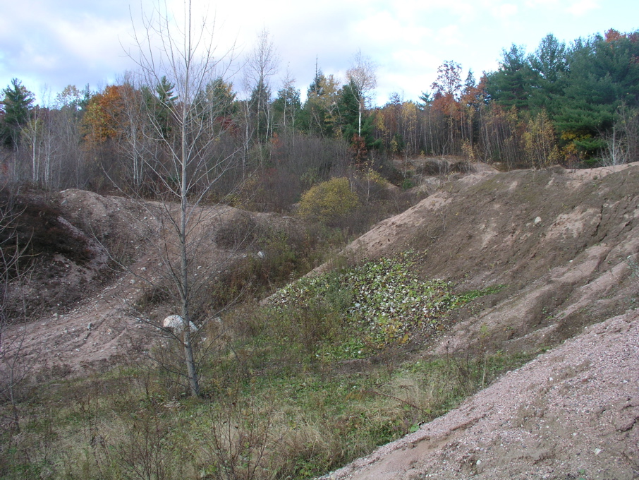 P1010016.JPG