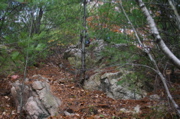 IMG_1542.JPG