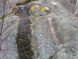 P1010006.JPG
