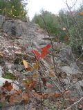 P1010007.JPG
