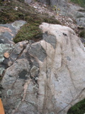 P1010008.JPG