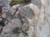 P1010009.JPG