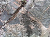 P1010010.JPG