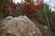 IMG_1571.JPG