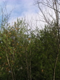 P1010011.JPG