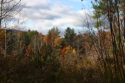 IMG_1589.JPG