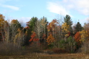 IMG_1591.JPG