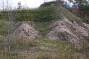 IMG_1595.JPG