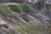 IMG_1602.JPG