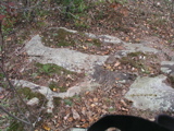 P1010003.JPG