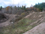 P1010016.JPG