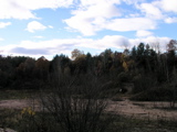 P1010017.JPG