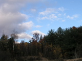 P1010018.JPG